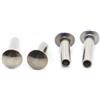 Aqxyxsw Rivetto a testa tonda con gambo cavo in acciaio inossidabile 304 GB873 M2,5 M3 M4 M5 lingli(M2 20pcs,10mm)