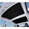 NCTPICLC Tendine Parasole Auto Tettuccio Parasole Per Tesla Per Modello 3 Vecchia Versione Per Highland Refresh Tetto Vetro Doppio Strato Protezione UV Termoriflettente(17-23 - Black)