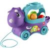 Fisher-Price - Dino Impara e Cammina, dinosauro giocattolo da trainare con palline saltellanti e contenuti multilingue Smart Stages, giocattolo per bambini 12 - 36 Mesi, HNR52
