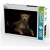 Calvendo Gepard 1000 Teile Puzzle quer 640x480mm, Swierczyna Eleonore; 7436470