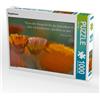 Calvendo Calendule, puzzle da 1000 pezzi, formato orizzontale 640x480 mm, Adam Ulrike; 7300806