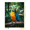 CALVENDO Puzzle "Ara", 1000 pezzi. Dimensioni del puzzle: 48 x 64 cm. Puzzle fotografico per momenti di relax e divertimento