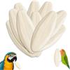 CJAPGJW Seppiaschalen per tartarughe, 10 pezzi 9-11 cm, fonte naturale di calcio per tartarughe, terra e rettili, ideale come integratore minerale e decorazione a gabbia per terra sepoietica