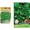 Germisem Biologico Greco A Palla Semi di Basilico 2 g & Coriandrum Sativum Semi di Coriandolo 10 g