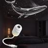 Generic Galaxy Projector Night Light 2 in 1 | Proiettore Galassia Stelle Soffitto | Galaxy Dream Star Projector | Lampada LED Notturna Luna Dischetti per Camera da Letto Parete Decorazione Ambienti