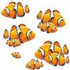 LaoGraphics Adesivi a forma di pesce pagliaccio arancione, resistenti all'acqua e alle intemperie, trasparenza 0%, adesivi con pesci tropicali, coprono i segni, decorazione da parete vita marina, auto e progetti