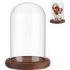 NBEADS Eternal Flower Display Dome Cloche In Vetro, con Campana di Vetro con Piedistallo In Legno Marrone Cocco per San, Festa di la Mamma, Decorazioni Floreali Artigianali, 11.3x16.3cm