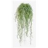 artplants.de Viticcio di Tillandsia Usneoides Artificiale IRMENA, 80cm
