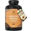 TRUE NATURE Cordyceps Sinensis - 19500 mg - 270 Capsule (Estratto CS-4 10:1) Alto dosaggio - con 40% di Polisaccaridi Bioattivi - Analizzato in Italia e confezionato in Germania da TRUE NATURE