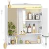 Hzuaneri Specchio Bagno Contenitore, illuminazione a LED, 16,5x60x68,5 cm