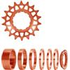 ZEPFJHE 16T 18T Biciclette Single Speed Conversion Set | Ruota delle ruote libere delle cassette di velocità delle bici della lega di alluminio singola per le biciclette
