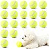 BYZESTY 18 Pezzi Palle Da Tennis Palla Da Tennis Palle Da Tennis Allenamento Palla Tennis Cane Palle Palle Tennis per Cane per Competizione, Allenamento, Giocattoli, Principianti