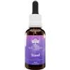 BUSH BIOTHERAPIES PTY LTD Travel Essence Australian Gocce 30 Ml