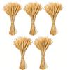 Fairblo 500 Pezzi Spighe di Grano Decorative 40 cm Fiori Secchi Decorativi | Spighe di Grano Secche, Spighe Fiori Essiccati per Matrimonio Chiesa Camino Tavolo da Pranzo Decorazione Della Casa