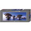 Heye Puzzle Heye 29607 - Alexander von Humboldt, Cipressi Calvi, Puzzle panoramico da 1000 pezzi