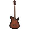 Ibanez FRH10N-BSF Brown Sunburst Flat - Chitarra classica 4/4