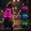 Feycig Light Up Dog - Pettorina per cani, ricaricabile, luminosa