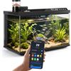 Nobleza Acquario Smart 30L, Set Completo WiFi con App e Cambio Acqua Rapido
