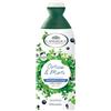 L'Angelica Officinalis, Shampoo Seboregolatore, Ortica e Mirto, 250 ml