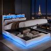 CXHLXYR Letto Matrimoniale con Contenitore 160x200 cm,Letto Imbottito 160x200 con LED e USB,letto contenitore con ripiani aperti e portaoggetti nascosto in testiera,Letto Baule con doghe in legno,Velluto