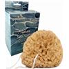 pasiphae natural skin care & sea sponges Pasiphae, spugna naturale da bagno greca, spugna da bagno a nido d'ape non sbiancata, spugna morbida esfoliante biologica per adulti, spugna ecologica per il corpo per donne e uomini (dimensioni 1