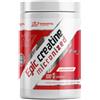 FlorioSport Creatina Monoidrato Micronizzata in Polvere 500 g | Immortal Nutrition Epic Creatine Micronized | Integratore Alimentare di Pura Creatina con Vitamina B6 - Gusto Neutro