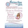 Dr. Julie Silve Chicken Soup for the Soul: Hope & Healing for Your B (Tascabile)