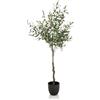 HJH Office Piante artificiali OLIVE Altezza della pianta: 120 cm, pianta artificiale sempreverde senza sforzi aggiuntivi, Plastica, 871012