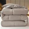 Fnyopki Piumino in Piuma d'oca, Trapunta Letto Matrimoniale per 4 Stagioni, Trapunta Leggera e Calda, Ultra Morbido e Traspirante Trapunta Invernale (Light Gray 150x200cm 1.5kg)