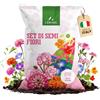 LERAVA Semi Fiori (12 varietà) - Set semi prato fiorito con Margherita, Nasturzio, Zinnia, Tagete, Calendula, Garofano, Myosotis, Astro, Cosmea, Ipomea, Lupino - Fiori annuali e perenni per giardino