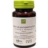 OTI Srl Oti Semi Pompelmo Estratto Secco Integratore Benessere 60 Capsule