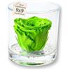 Premium-rose.com Box Tondo con Rosa Verde stabilizzata eterna Profumata, in plexiglass da 9cm con Rose Verdi Eterne | Idea Regalo Natale, Compleanno | Fatto in Italia (Verde 1049)