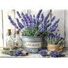 MOTGOM Diamond Painting Lavanda, Diamond Painting Adulti Lavanda, DIY Pittura Diamante Kit Regalo per Decorazione Parete Casa 40x30cm