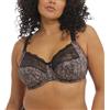 Elomi Morgan Underwire Banded Bra with Stretch Lace Reggiseno Donna (Pacco da 1)