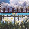 A Different Lifetime (CD) Album