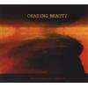 Francesco Lo Castro Chasing Beauty (CD)