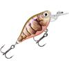 Rapala - X -light manovella a ginnastica mid runner pellicola in plastica esca - esca senza diluvio d'acqua - stato di spettacolo 1,8 m - taglia 3,5 cm / 4g - fatto in Estonia - Purple Grawn UV