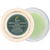 SVATV - Balsamo per labbra salve alle erbe per tutti gli usi 0.5 oz (15g) :: Made in India (Green Apple)