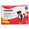 CAMON SpA PANNOLINO FASCIA PER CANI MASC
