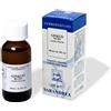 SARANDREA MARCO &C. Srl EXTRAGEM GINKGO GEMME 20ML