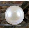 Senza marchio Pietra preziosa rotonda certificata T12537 perla bianca naturale dei mari del...