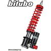 Bitubo PIAGGIO VESPA GTV 250 / NAVY E3 2006-2009 Ammortizzatore Anteriore BITUBO PV0...