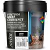 JOVIRA PINTURAS Pittura di copertura opaco. Pittura per interni ed esterni con eccellente potere coprente. (4 Litri, Nero Ebano)