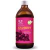SALUGEA RELOAD Salugea Succo Cranberry Bio 500ml