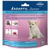 Adaptil Collare Adaptil Junior con feromoni per cuccioli cane