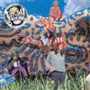Virgin Bellybutton (Edizione Listener) [180g LP]