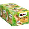 Kitekat Cibo per gatti colorato in salsa, 48 bustine (1 x 48 x 100 g)