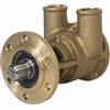 Jabsco Pompa Jabsco in Bronzo a Flangia Misura 80 - Flangia 6 fori - raccordi 32 mm