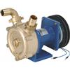 Liverani Pompa Liverani 30 Special con Frizione Elettromagnetica - 75 l/min - bocche 30-35 mm
