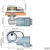 Quick Verricello Salpa Ancora Quick Custom CL3 1000W (Acciaio Inox)